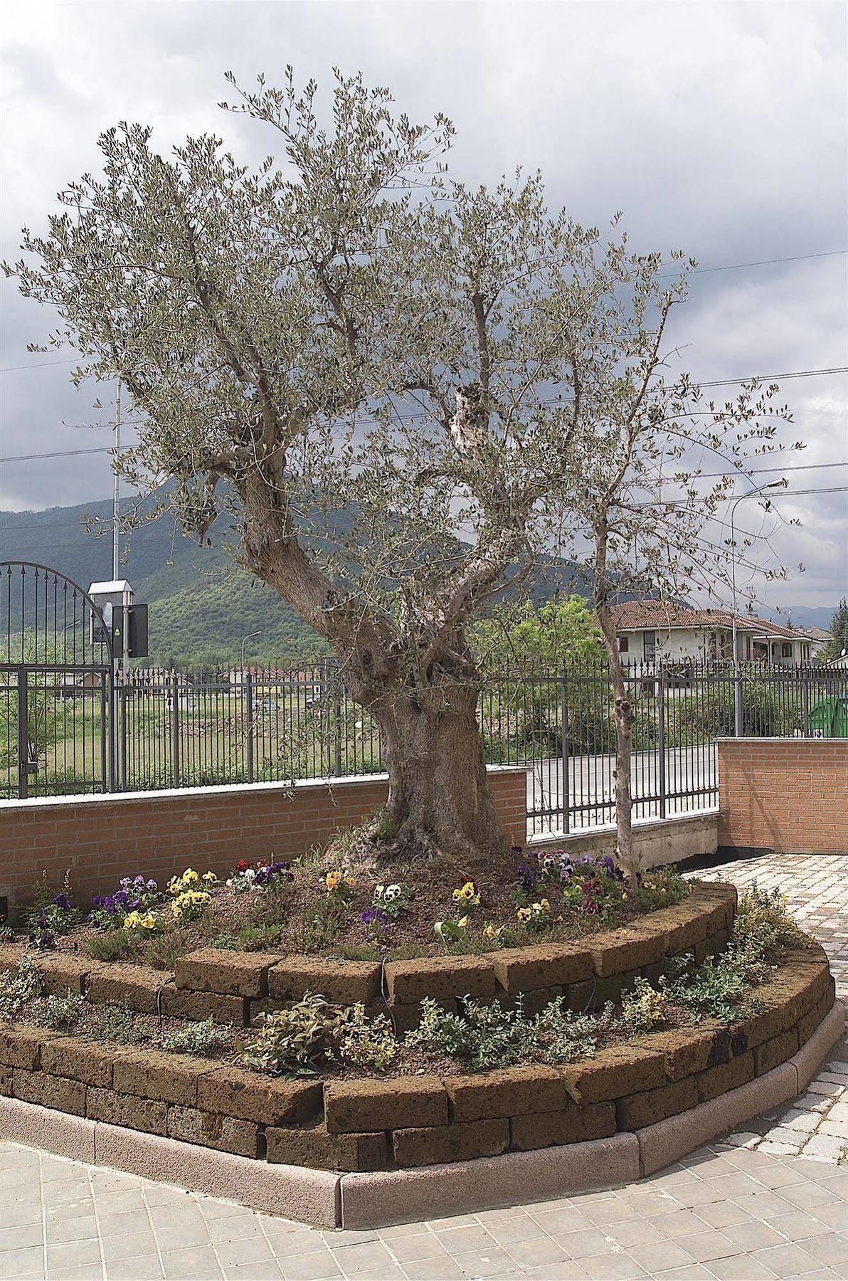 Hotel San Giorgio Sangano ภายนอก รูปภาพ